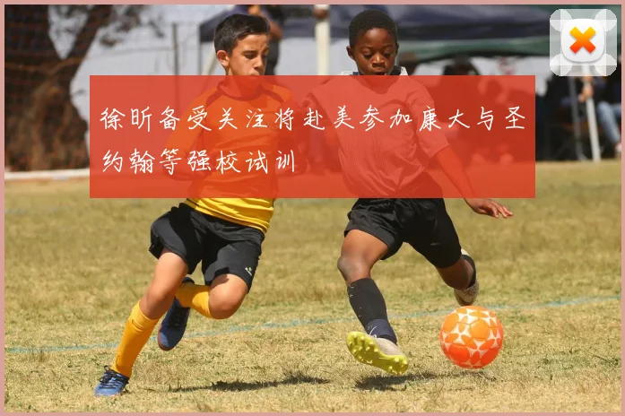 徐昕备受关注将赴美参加康大与圣约翰等强校试训